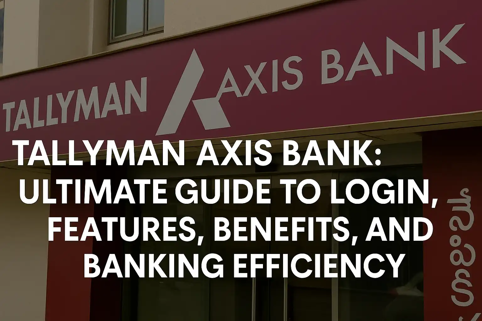 Tallyman Axis Bank